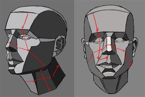 How To Draw Planes Of The Face